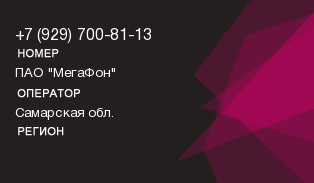 9297008113
